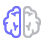 coding-icon_brain About us Phoenixitek
